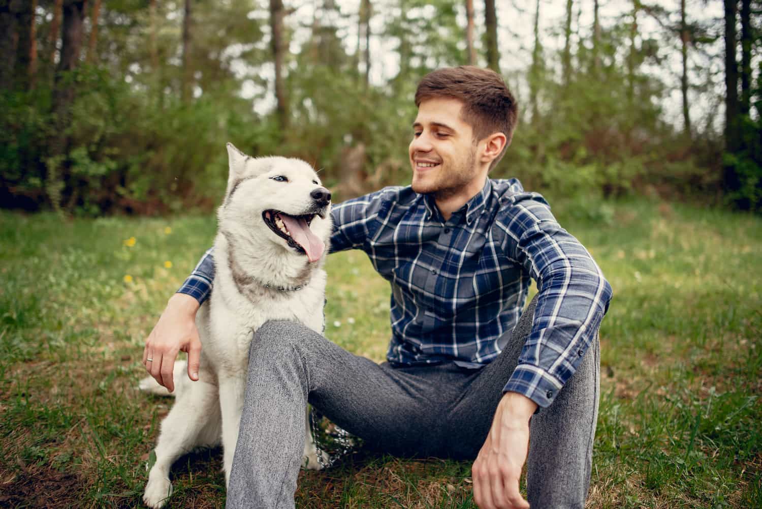 up-handsome-guy-in-a-summer-park-with-a-dog-2023-11-27-05-31-48-utc.jpg
